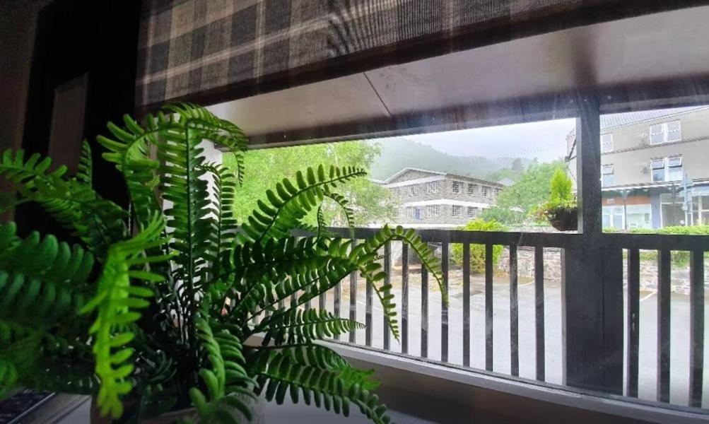 Fairy Falls Hotel Trefriw Extérieur photo